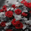 Red Roses With Grey Leaf paint by numbers