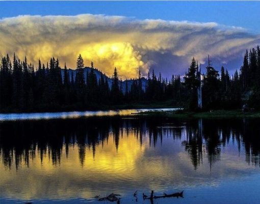 Trees Reflection On Lake paint by numbers