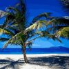 Blue Sky Beach Landscape Paint By Numbers