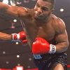 Mike Tyson NEW Paint By Numbers