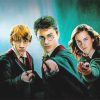 Harry Potter Movie NEW Paint By Numbers
