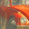Antique Beautiful Car NEW Paint By Numbers