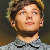 Louis Tomlinson NEW Paint By Numbers