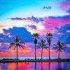 Beautiful Sunset View Palms NEW Paint By Numbers