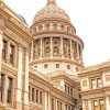 Texas State Capitol NEW Paint By Numbers