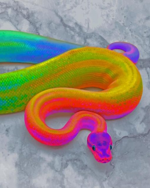 Rainbow Snake paint by numbers