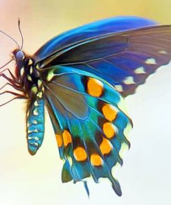 Blue Green Butterfly Wing paint by numbers