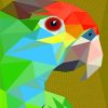 Pop Art Parrot paint by numbers