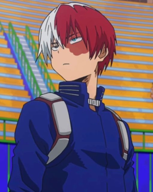 Shoto Todoroki paint by numbers