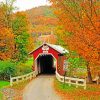 New Baltimore Covered Bridge paint by numbers