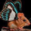Butterfly Mouse Paint By Numbers