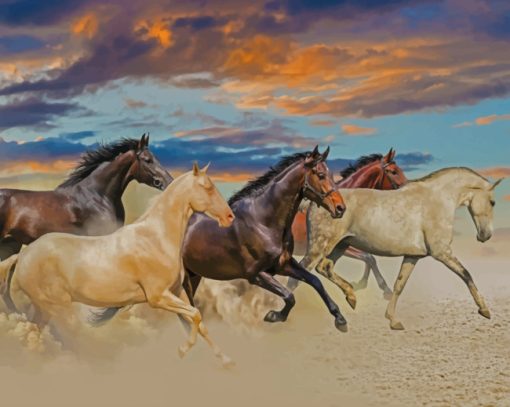 horses running in desert paint by numbers