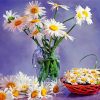 Daisies Vase Paint by numbers