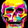 Skull Pop Art Paint by numbers