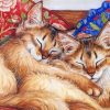 cats-sleeping-paint-by-numbers