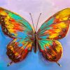 Colorful Butterfly paint by number