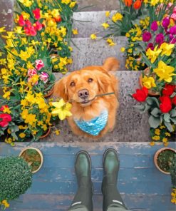 puppy-and-flowers-paint-by-number