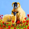 Sheep And Poppies Paint by numbers