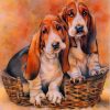 basset-hound-dogs-paint-by-numbers