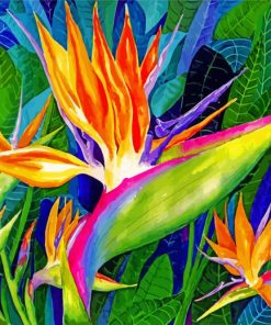 Bird Of Paradise Art Paint by numbers