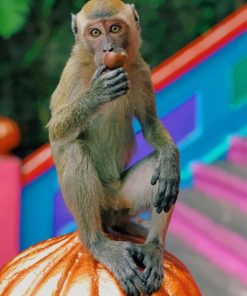 Brown-Monkey-On-Orange-Pumpking-paint-by-number