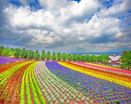 Hokkaido-farm-tomita-paint-by-numbers