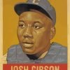 Josh Gibson Baseball Paint by numbers