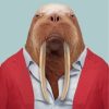 Walrus-wearing-red-paint-by-numbers