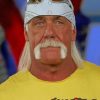 cool-hulk-hogan-paint-by-number