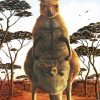 eastern-kangaroo-paint-by-numbers