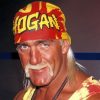 hulk-hogan-paint-by-numbers