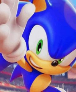 sonic-at-the-olympic-paint-by-numbers-510x639-1