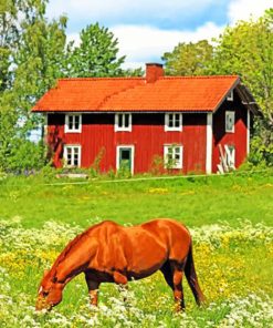 sweden-farm-paint-by-number