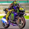 Valentino Rossi Paint by numbers