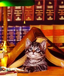 Adorable Cat With Book paint by numbers