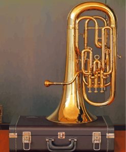 Vintage Tuba Art paint by numbers