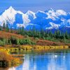 Alaska Denali National Park paint by numbers