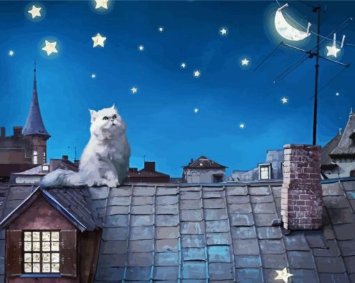 Cat Watching Moon And Stars paint by numbers