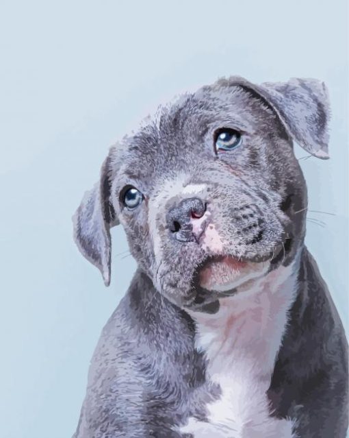 Cute Blue Staffy Puppy paint by numbers