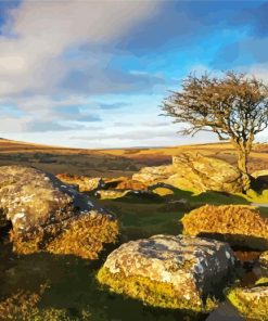 Dartmoor National Park Landscape paint by numbers