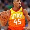 Donovan Mitchell Professional Basketballer paint by numbers