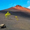 Mount Teide Tenerife paint by numbers