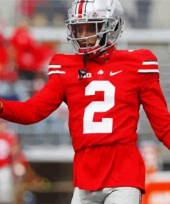 Ohio State Buckeyes Player paint by numbers