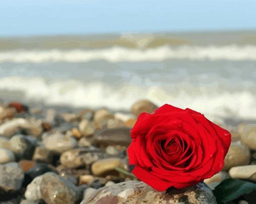 Red Roses And Beach paint by numbers