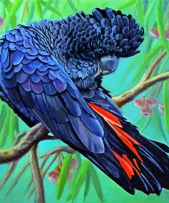 Red Tailed Black Cockatoo Bird paint by numbers