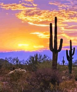 Southwest Desert Scene Sunset paint by numbers