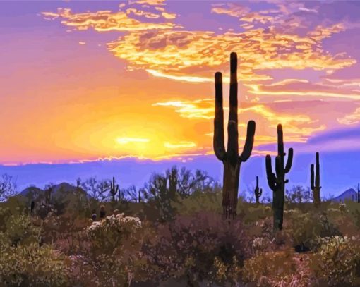 Southwest Desert Scene Sunset paint by numbers