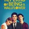 The Perks Of Being A Wallflower Poster paint by numbers