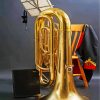 Tuba Music Instrument paint by numbers