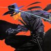 Zorro Character paint by numbers